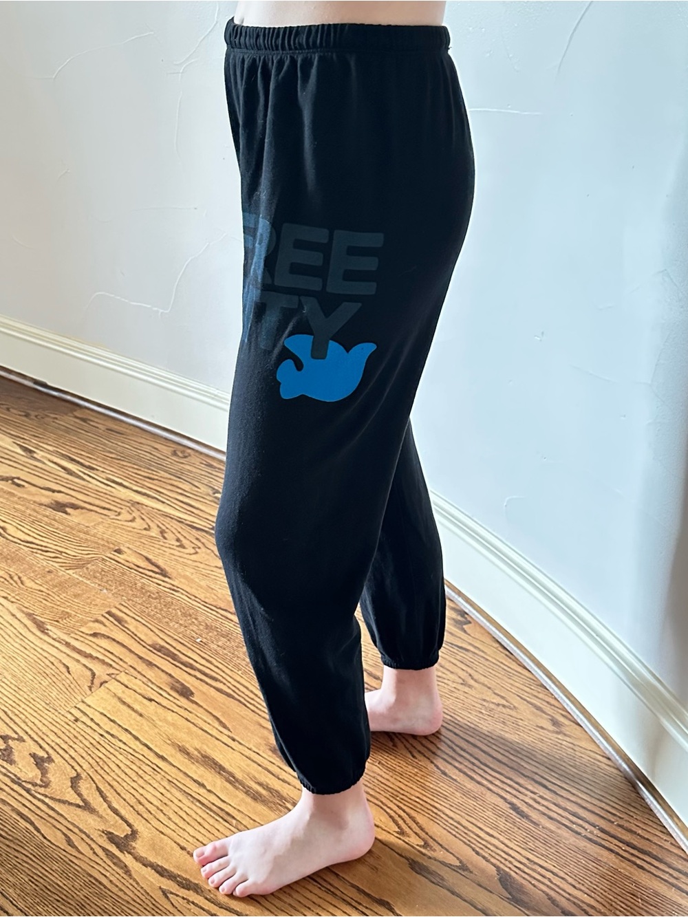 FREECITY Superblack with Blue Dove Low-Crotch Jogger Pants NWOT size XS🌸